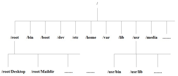 linux的目录结构