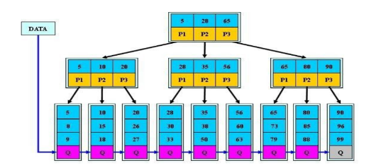 sql3